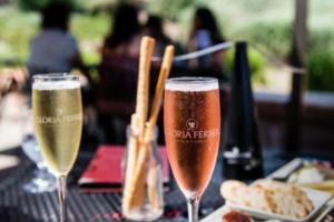 大江DUCAR品牌历史背景