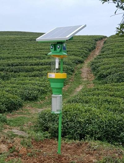 景观式太阳能杀虫灯效果怎么样