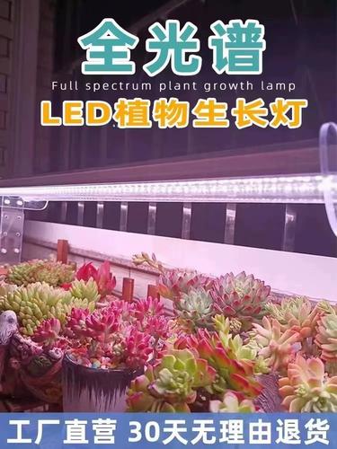 植物补光灯怎么用效果好