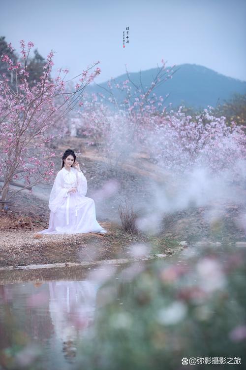 为什么我拍照的时候把紫色衣服拍成蓝色