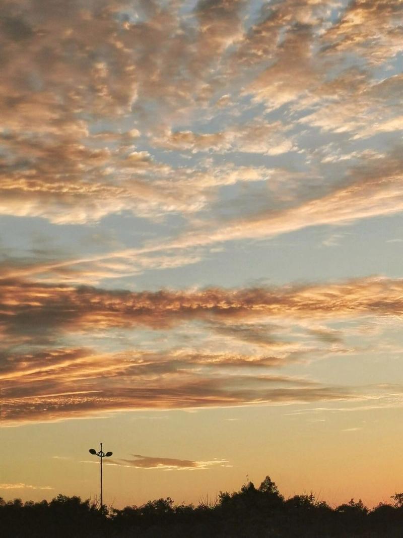 目前什么手机拍照效果最好