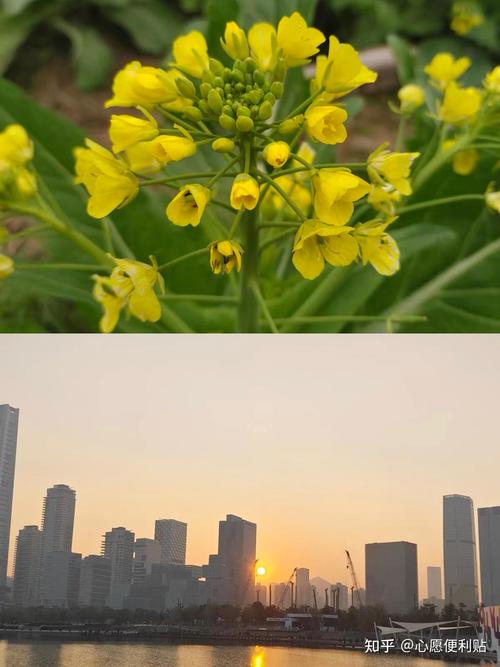 一千多的手机拍照最好的