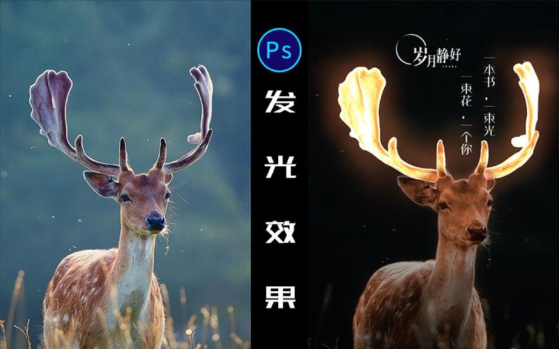 PS如何达到图中的亮光效果