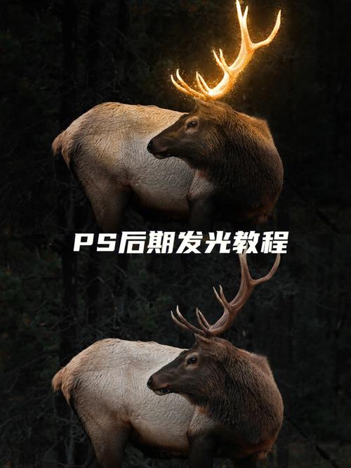 如何用ps制作图片发光效果?