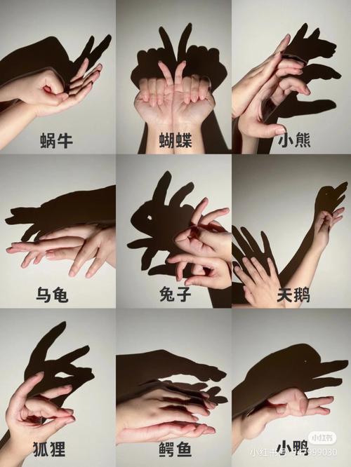 灯光影子有哪些造型图3