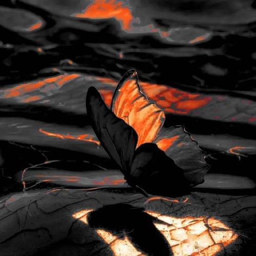 拍照背景图片素材大全高清