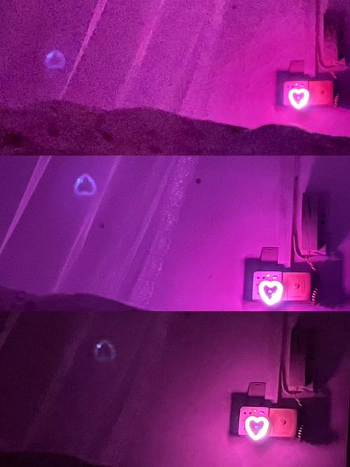 苹果12拍夜景有光点怎么解决