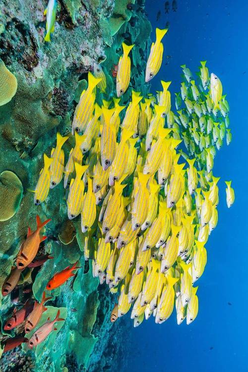 拍照怎么打光效果最好呢