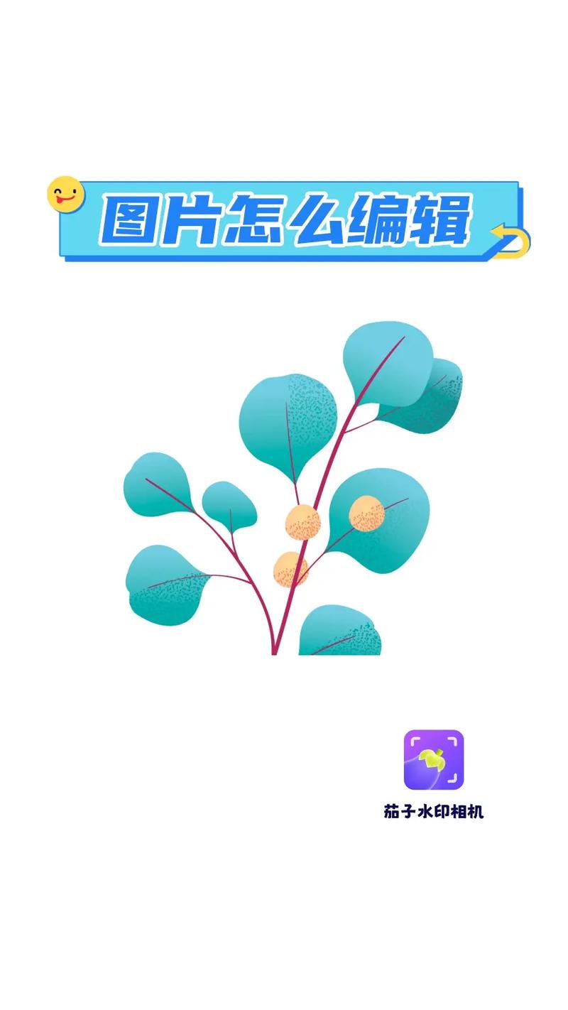 水印相机怎么编辑文字?