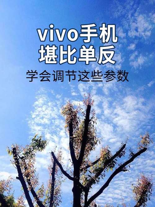 vivo手机摄影教程