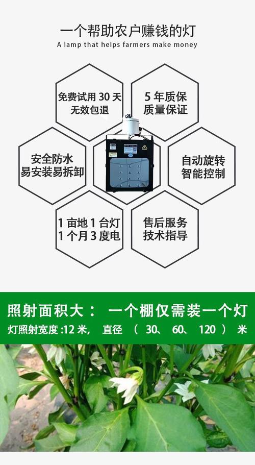 使用大棚植物补光灯到底有什么好处?