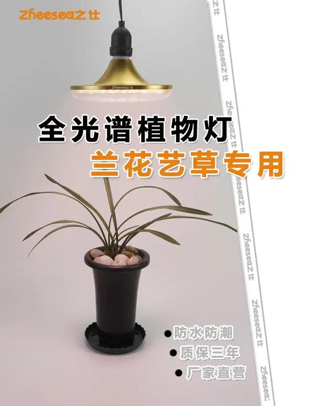 给植物使用专业补光灯有哪些好处
