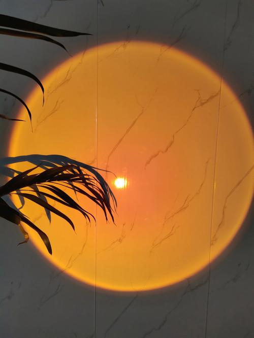 落日灯怎么拍照好看