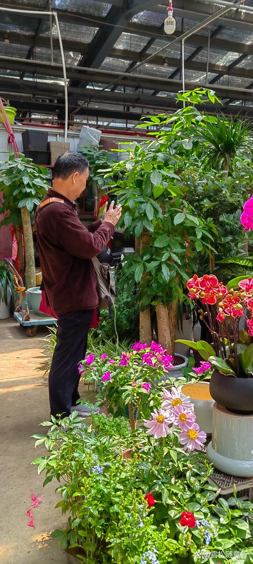 想做花卉植物视频,怎样拍观众才喜欢看呢?