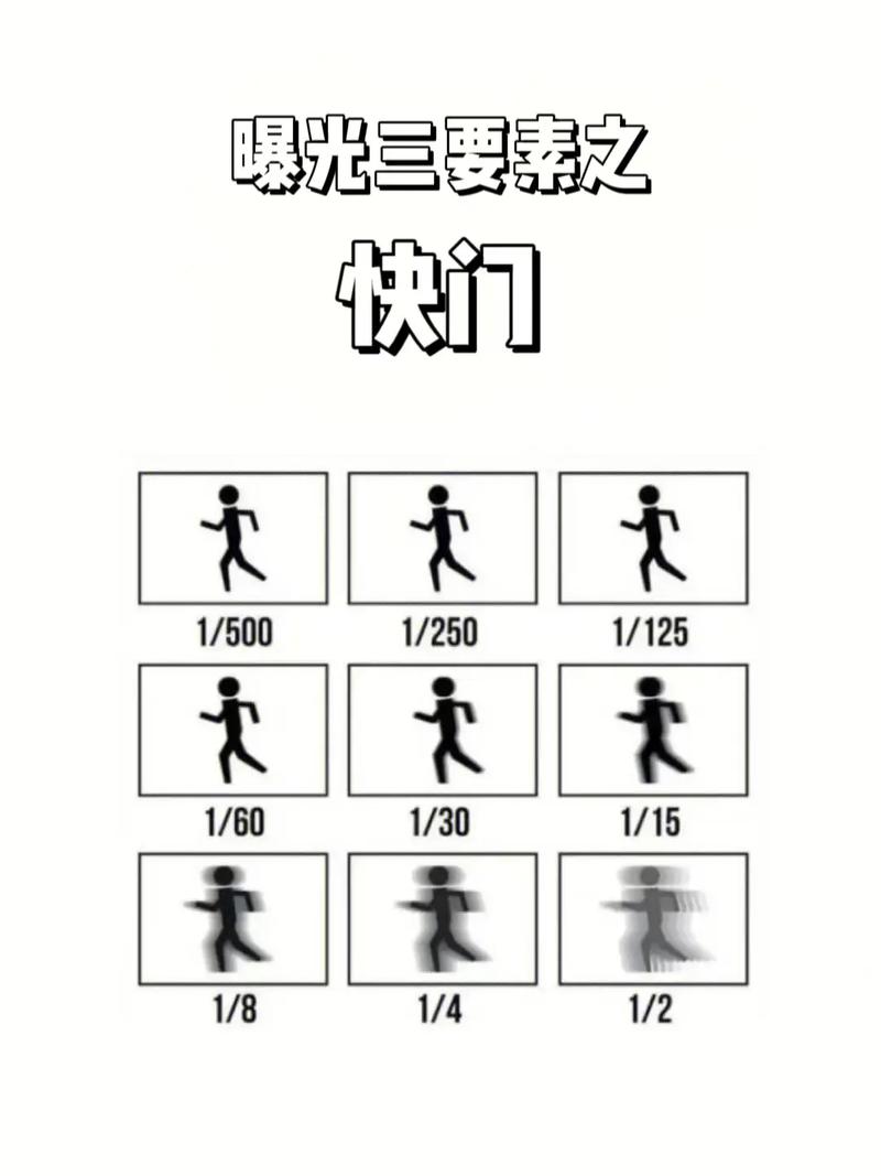 如何正确使用数码相机拍摄出最佳效果的技巧