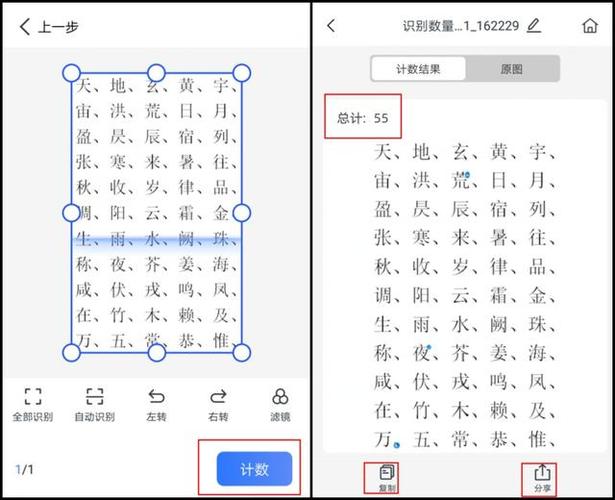拍照计数软件有什么?