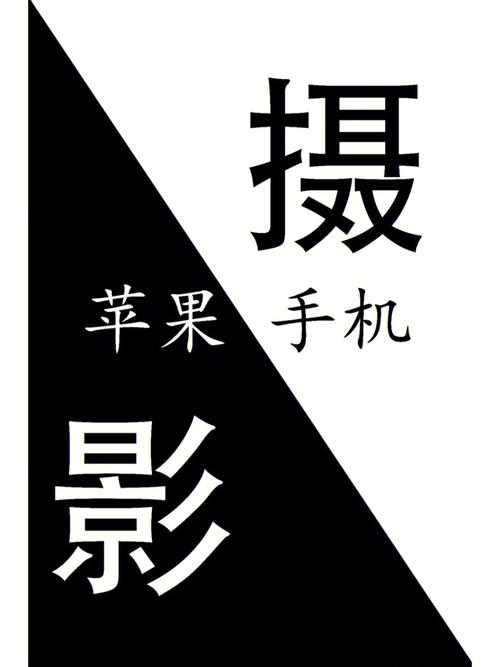 手机拍照自动识别数量软件