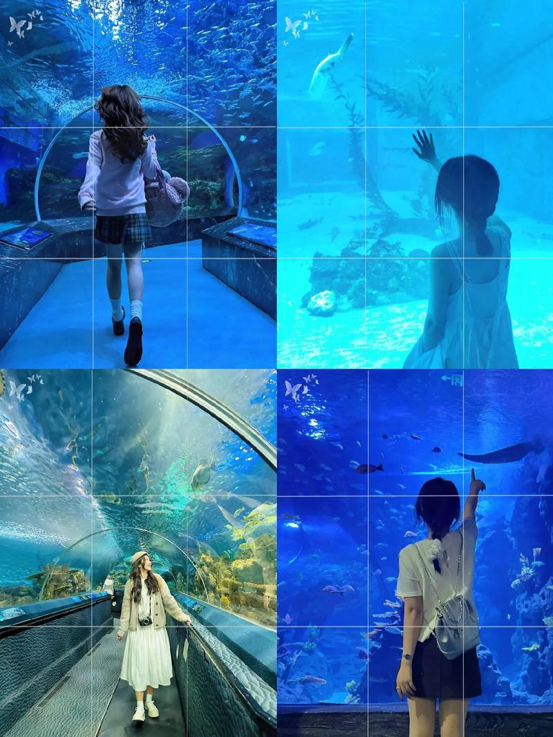 拍照有哪些姿势