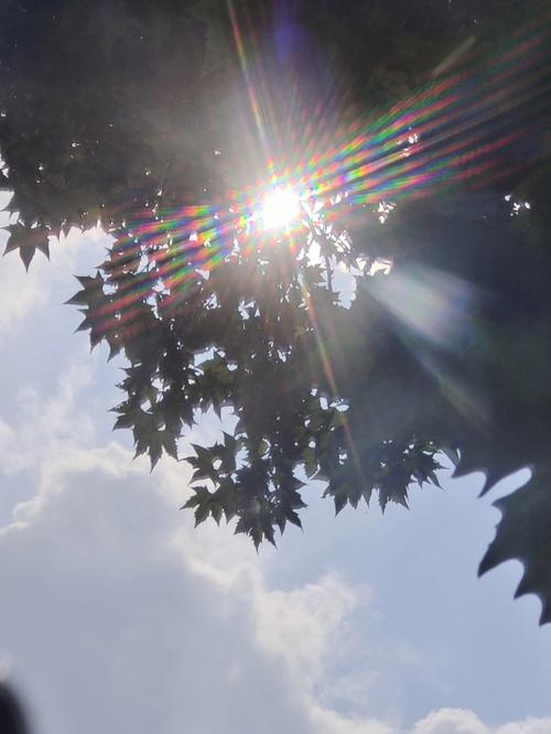 手机怎样拍太阳不反光