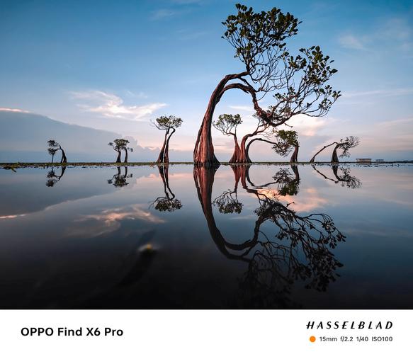 如何用手机拍出光影效果的照片?