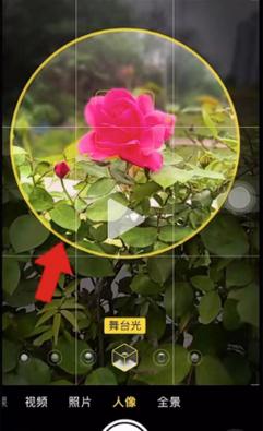 如何拍出黑背景?