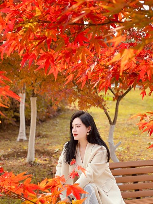 如何拍摄红叶和特写人像?