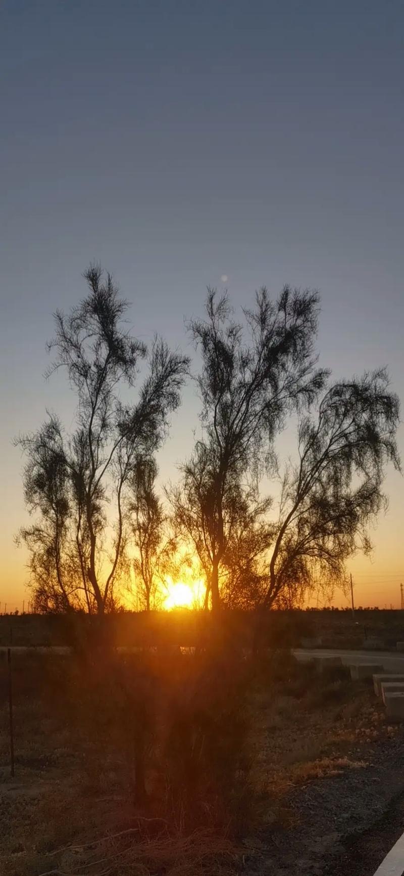 手机怎样翻拍?教你拍出一张高质量的照片