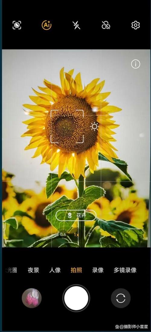 为什么手机拍照的照片不清晰呢?