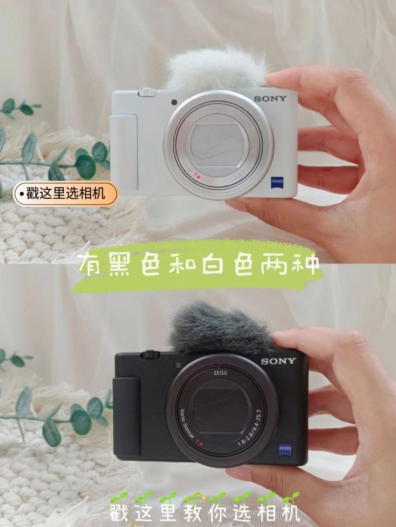 网红都用什么相机拍视频