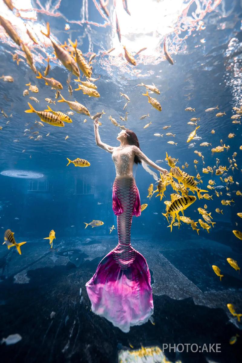 水下高速摄影那家好？