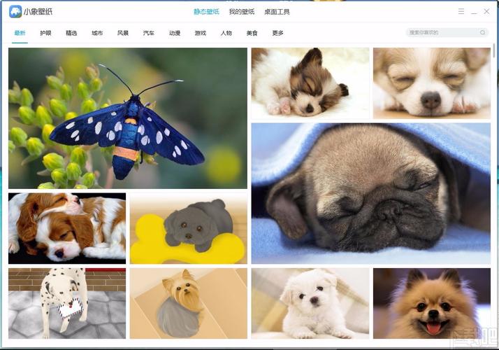 壁纸软件下载排行榜免费