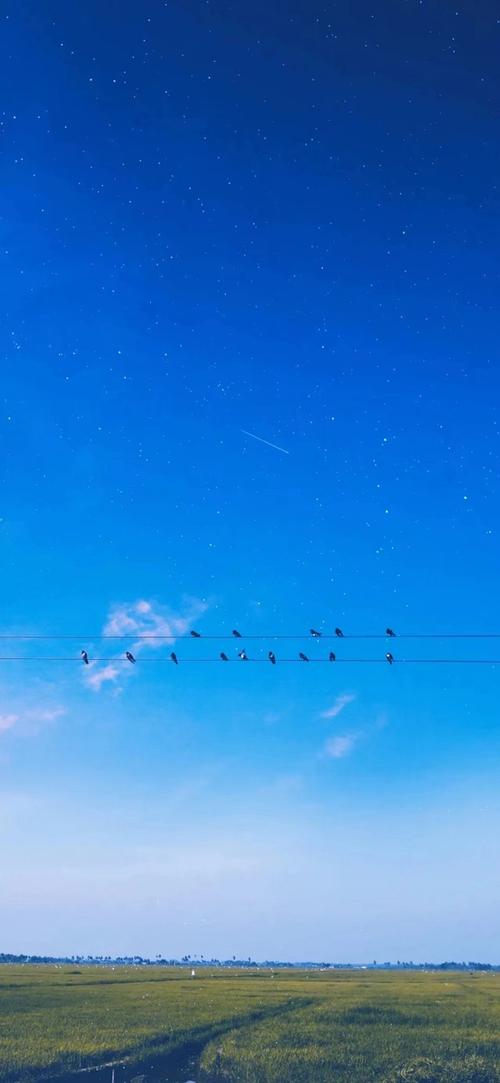 纯蓝色背景图片的魅力