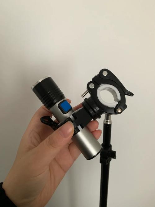 ed灯植物哪种好