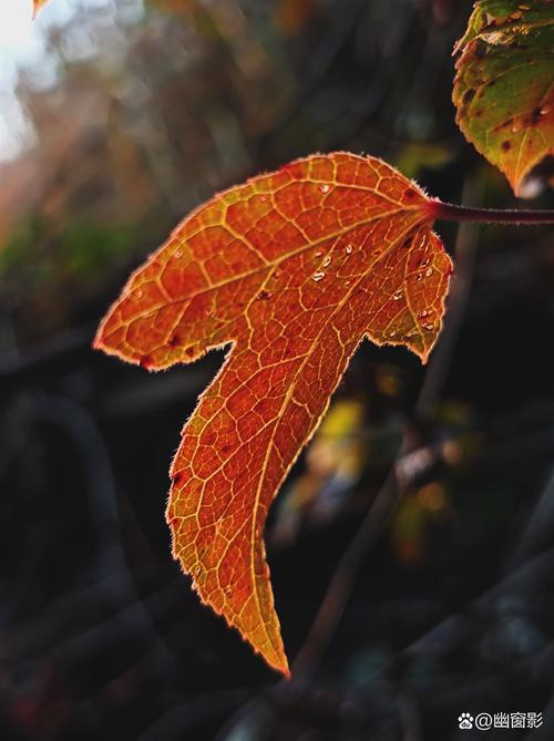 我有一张相片,十几年前的。你可以帮我把它弄清晰一点吗?