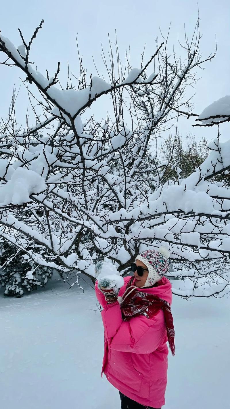 2021年的成都初雪如约而至,你知道拍雪景的正确姿势吗?