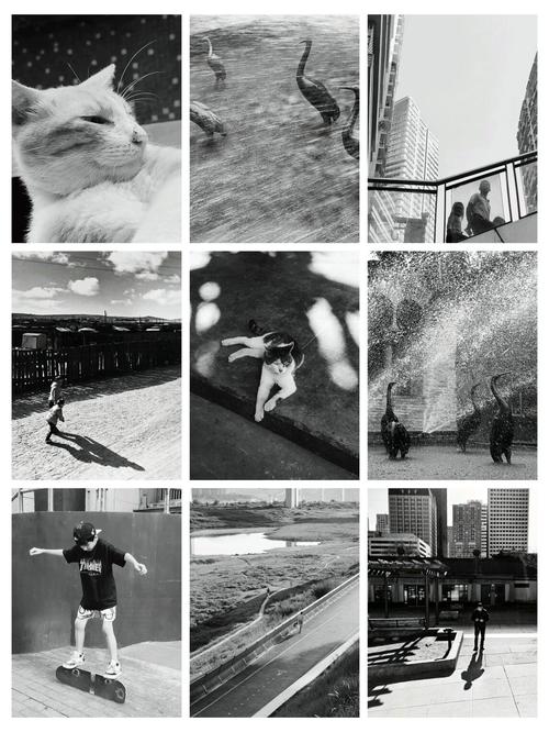 照片可以翻拍吗