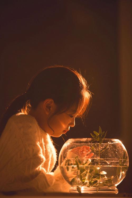 什么是逆光拍摄