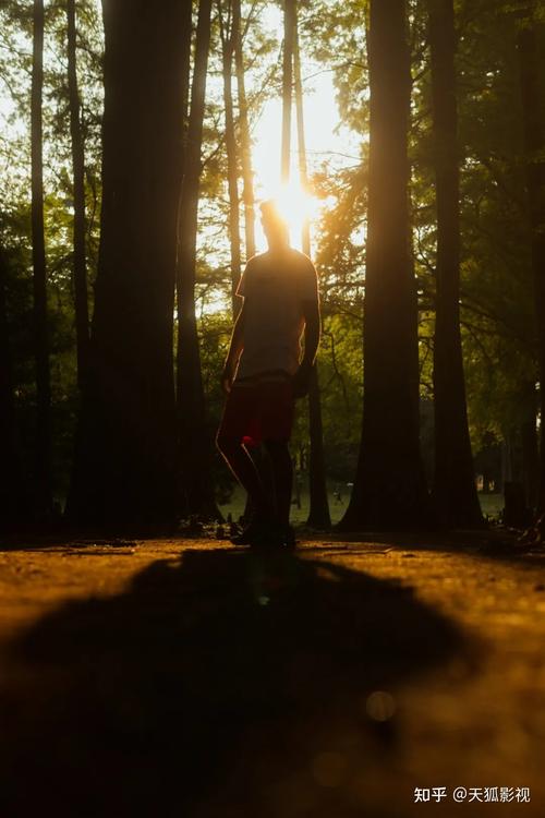 什么叫逆光什么叫背光