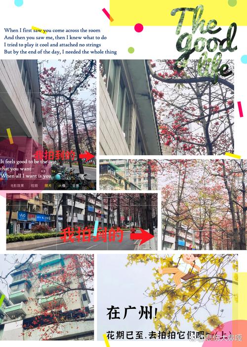 背光是什么意思?背光的通俗解释及拍照技巧分享