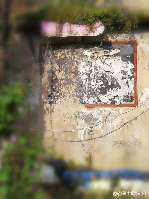 旧照片(6寸)翻拍一下要多少钱啊?