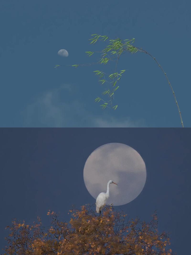 怎样用手机拍摄月亮