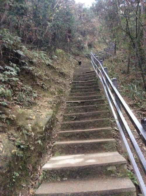 金剑山森林公园的拍照攻略有哪些?