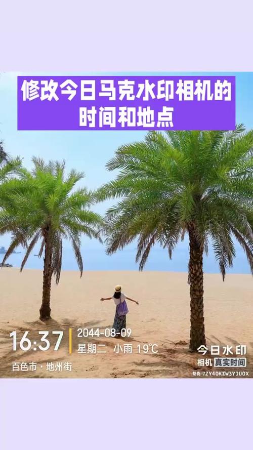 今日相机是做什么的?请问是打卡相机吗?