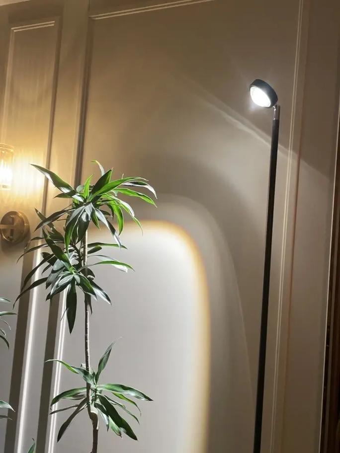 植物补光灯有什么好处?