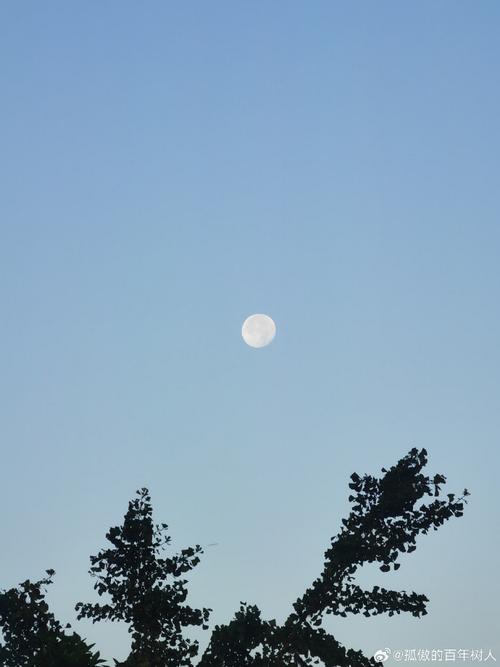 大家觉得手机拍照质量十年内能达到单反的水平吗