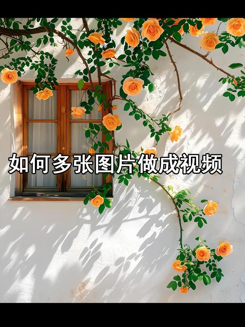 怎么把一堆照片做成一个视频啊?