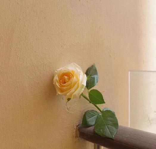 180张神仙朋友圈背景图