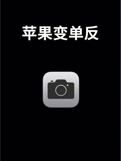 苹果拍照的时候相机图标是什么意思?