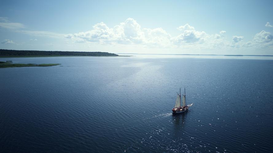 免费的电脑壁纸软件?