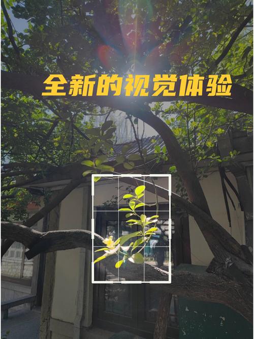 正拍,俯拍,仰拍等角度拍东西有什么作用?